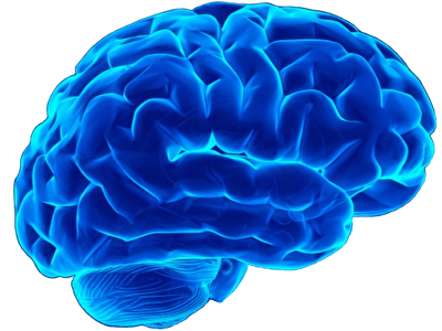 IQ Solutions